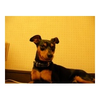 profile_image