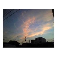 profile_image