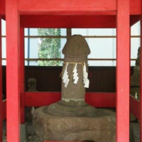 profile_image