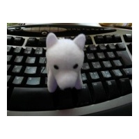 profile_image
