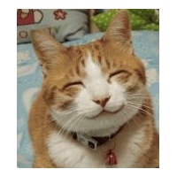 profile_image