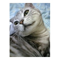 profile_image