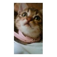 profile_image