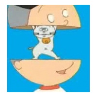 profile_image