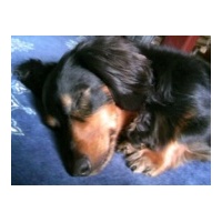 profile_image