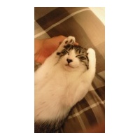 profile_image