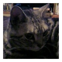 profile_image