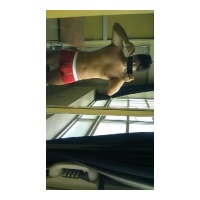 profile_image