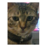 profile_image