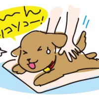 profile_image