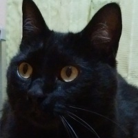 profile_image
