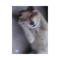 profile_image