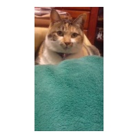 profile_image