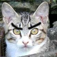 profile_image