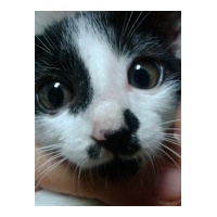 profile_image