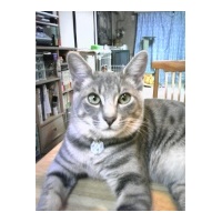 profile_image