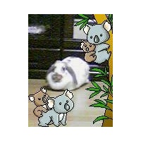 profile_image