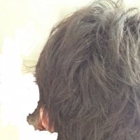 profile_image
